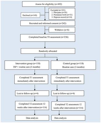 The effectiveness of an internet-based support program on maternal self-efficacy, postpartum depression and social support for primiparous women during the COVID-19 pandemic: Randomized controlled trial